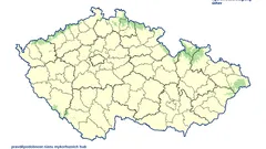 Srpnové lesy letos překypují hřiby a liškami – využijte vlnu růstu