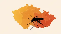 Nová mapa ČHMÚ pomáhá přežít srpnovou vlnu komárů bez štípanců