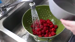 Jedna chyba při mytí bobulí zkrátí životnost vašich plodů