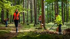 Bezpečnost v lese: Co je důležité vědět po nedávných incidentech