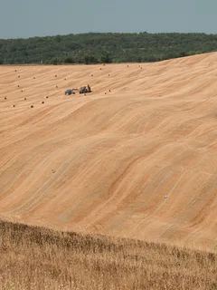 Traktor pracuje na poli sklizené pšenice