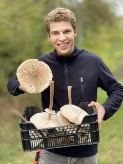 Muž drží přepravku plnou hub