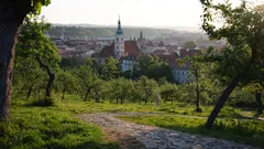 Průzkum 2025: kde žijí Češi nejspokojeněji a proč letos vítězí Jihočeský kraj