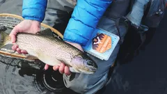 Rybaření u Vltavy nabídne víc než jen úspěšný úlovek