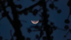 Září přinese úchvatné zatmění Měsíce, jaké už roky nebylo k vidění