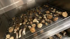 Sušené houby na kovové mřížce v troubě, příprava houbařského úlovku