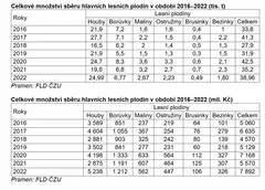 Tabulka celkové množství sběru hlavních lesních plodin v ČR 2016–2022 podle let a druhů.